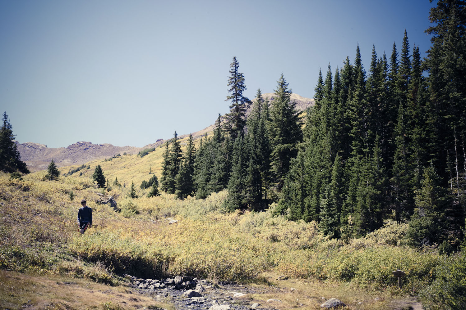 Aspen Hiking