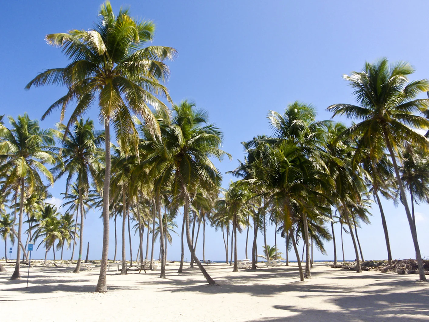 Palm Island