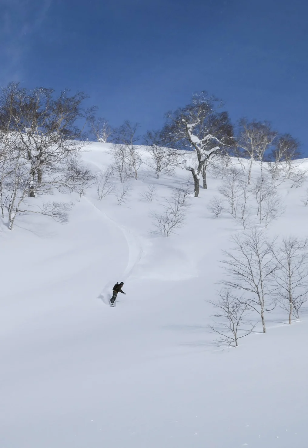 Japan-120.jpg