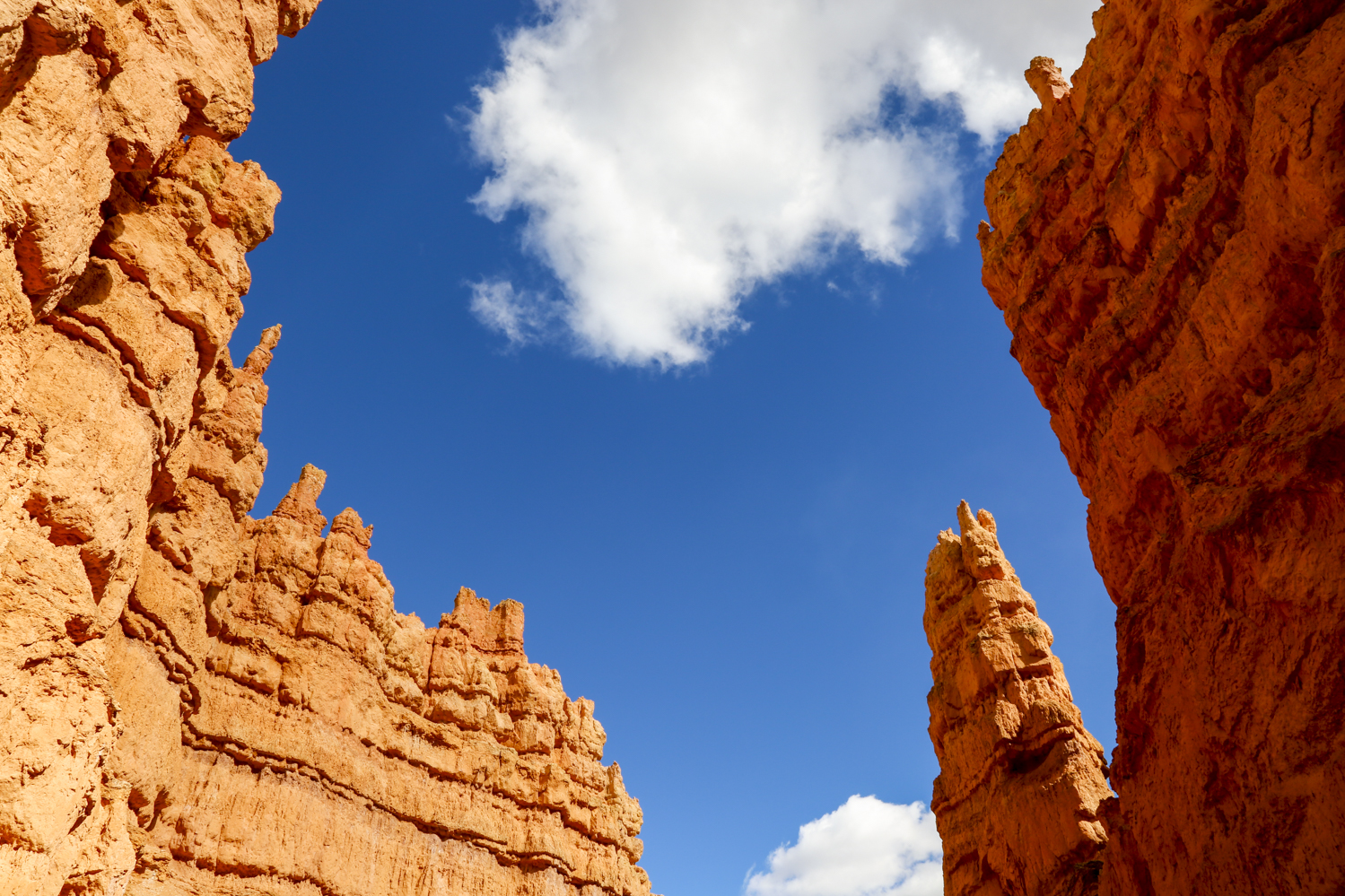 bryce-9.jpg