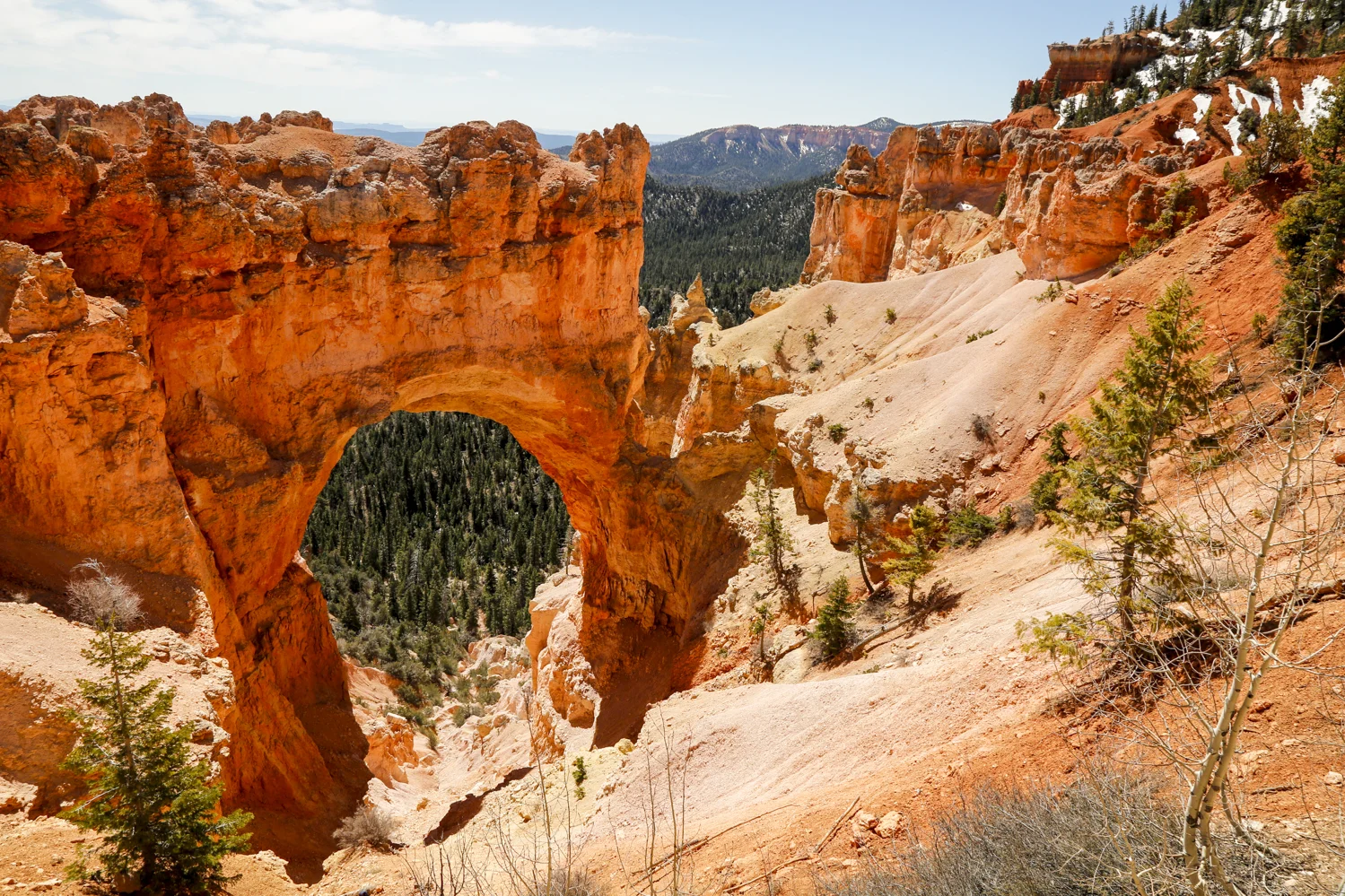 bryce-39.jpg