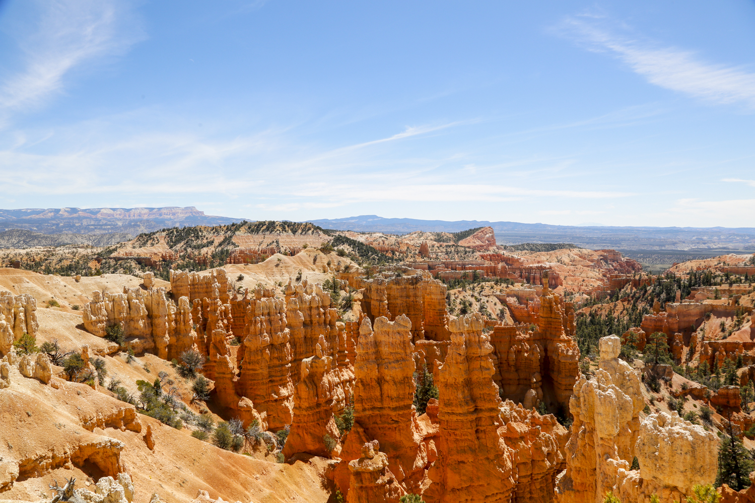 bryce-41.jpg