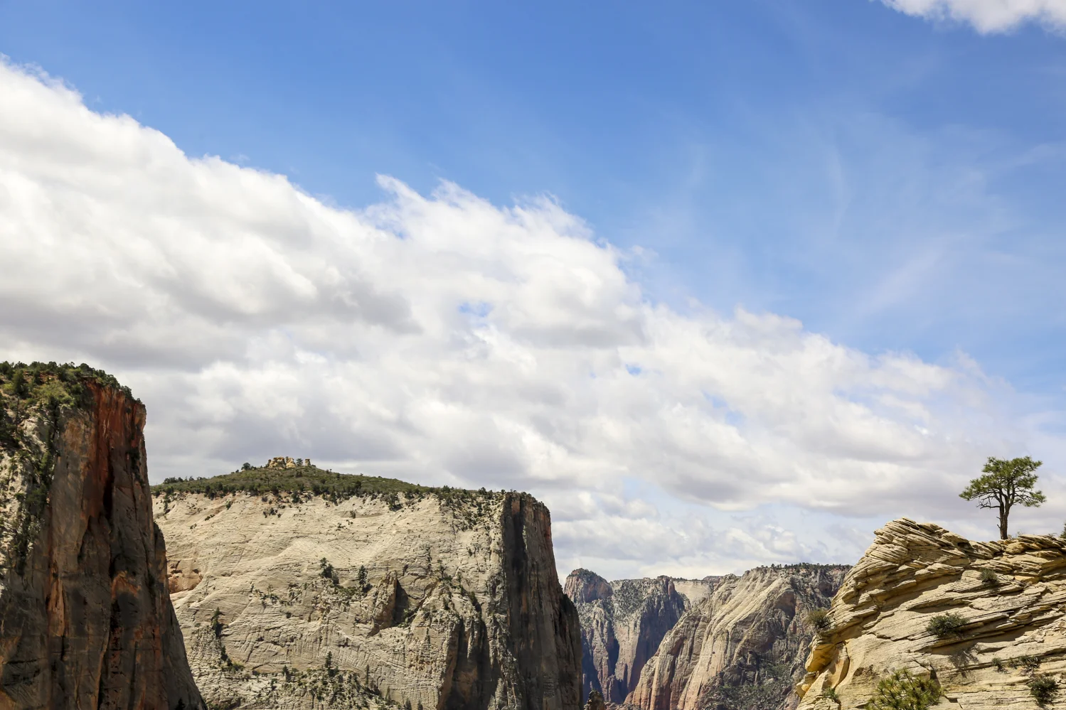 zion-45.jpg