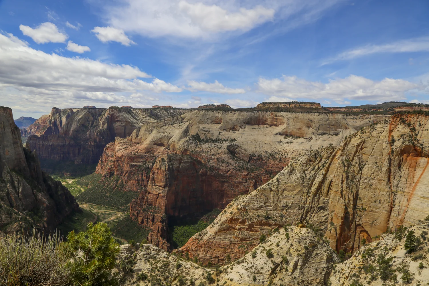 zion-47.jpg