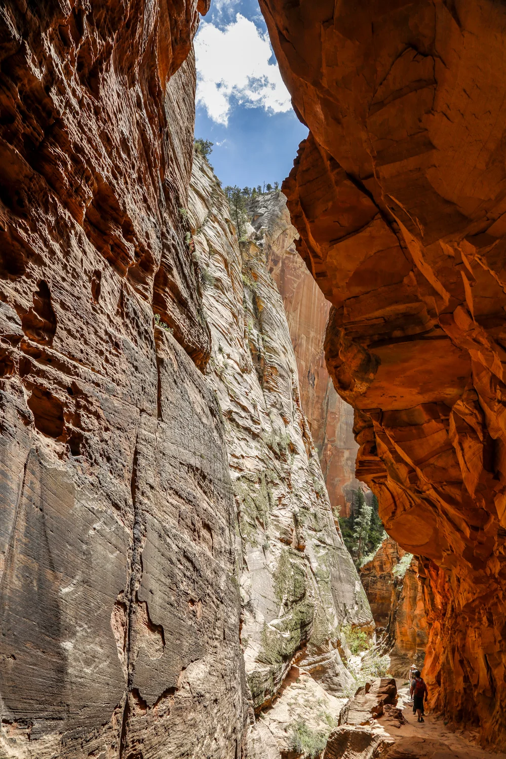 zion-57.jpg