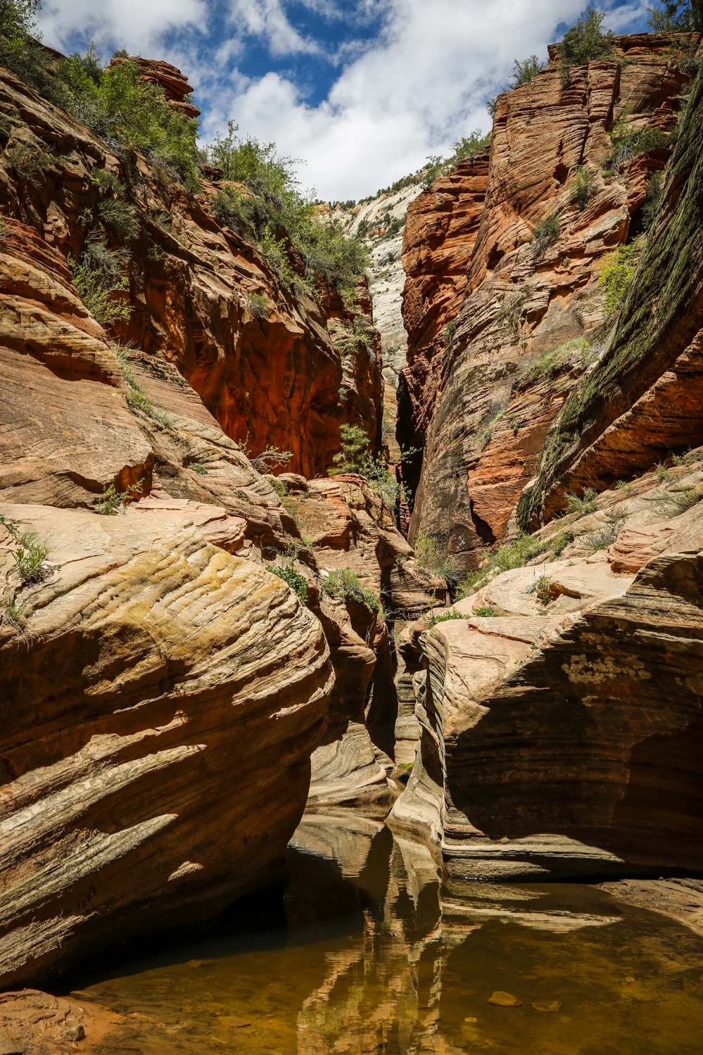 zion-65.jpg