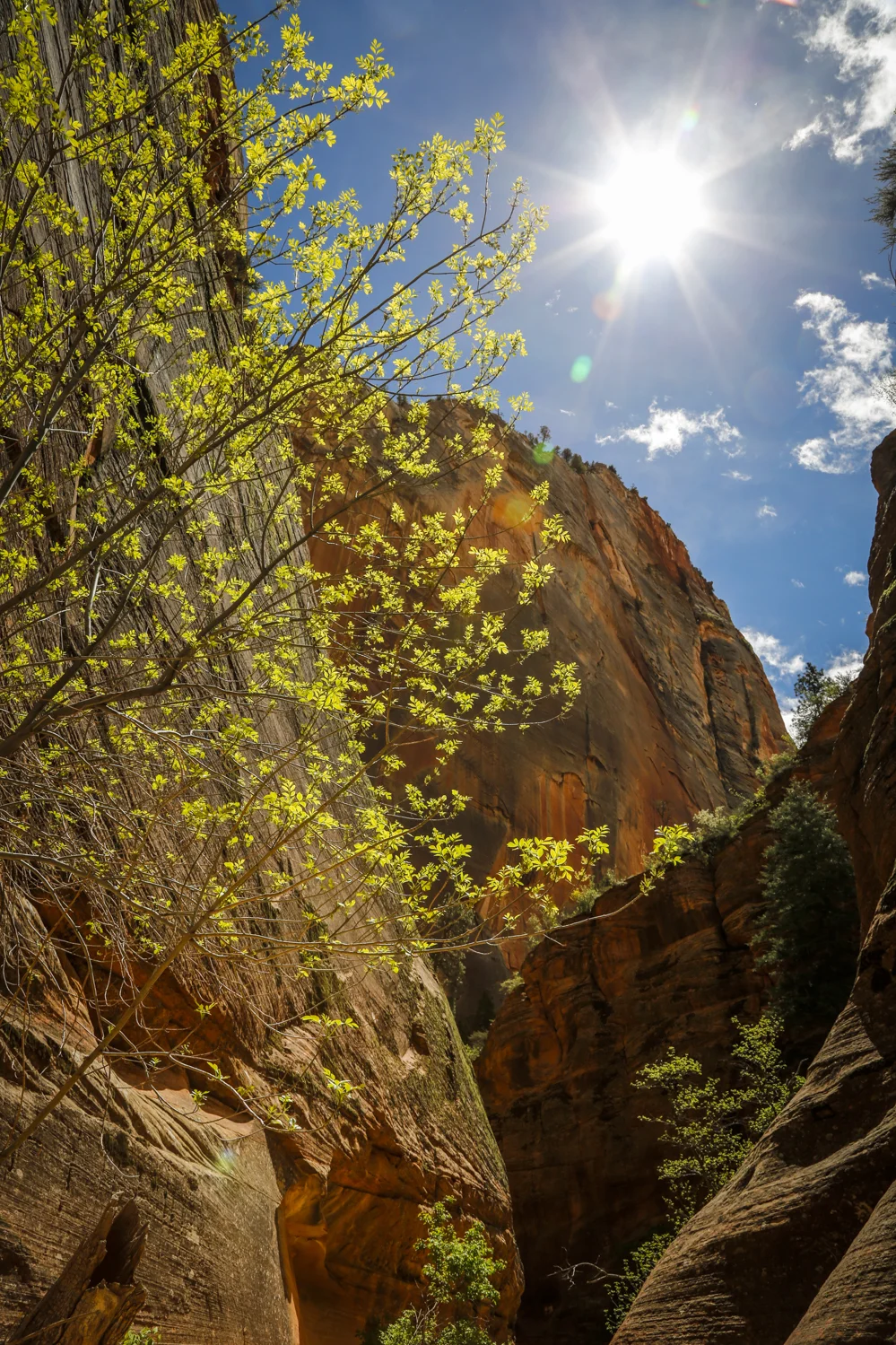 zion-68.jpg