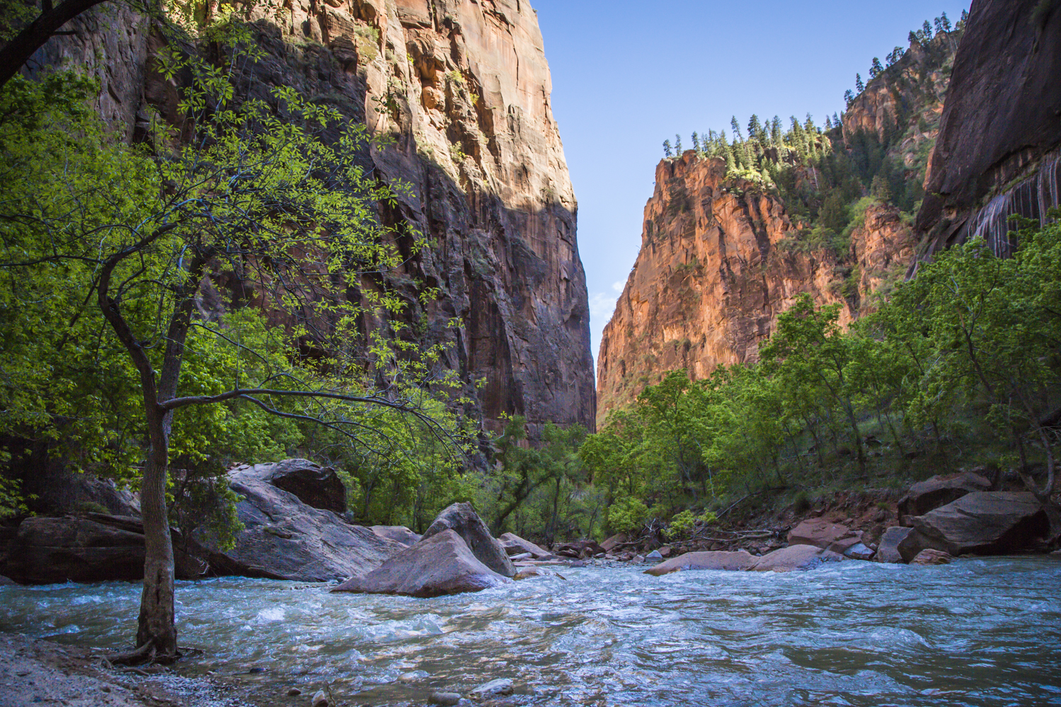 zion-82.jpg