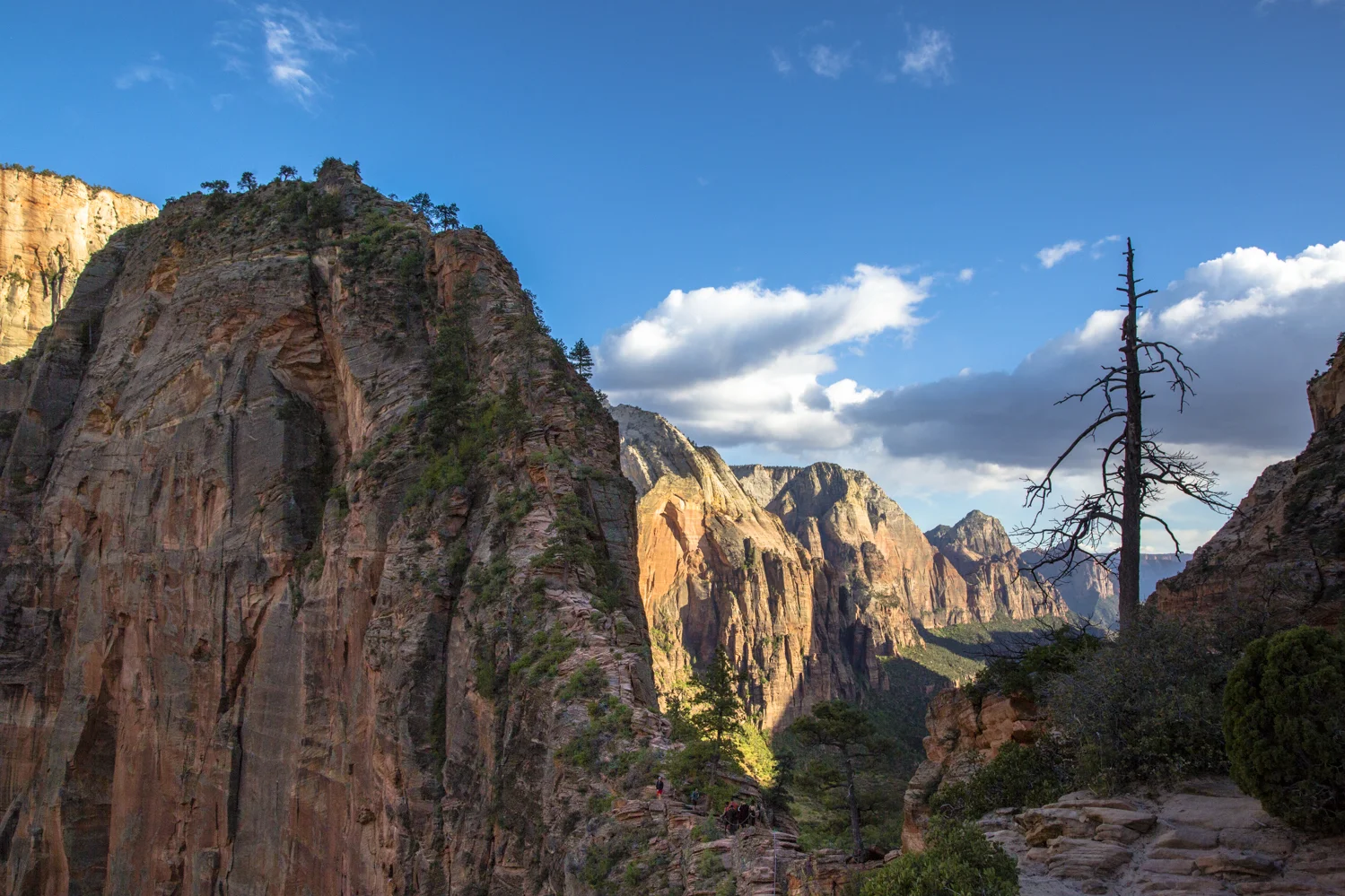 zion-89.jpg