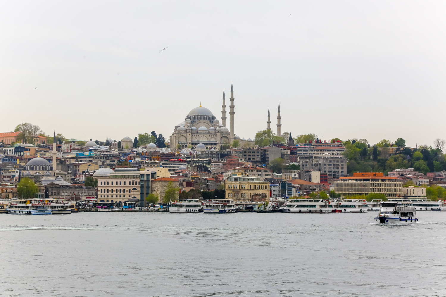 Turkey-2.jpg