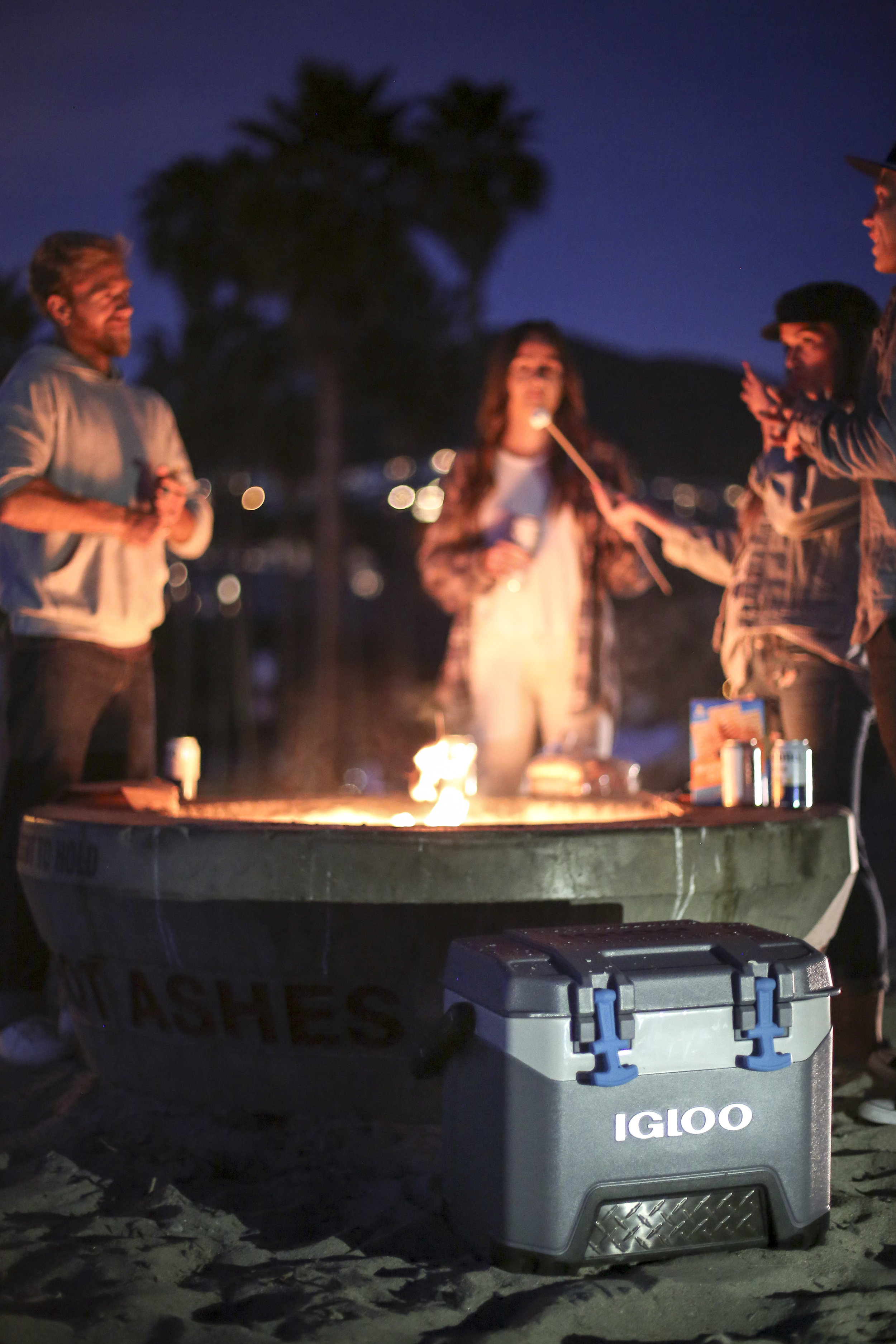 Roasting Marshmellows