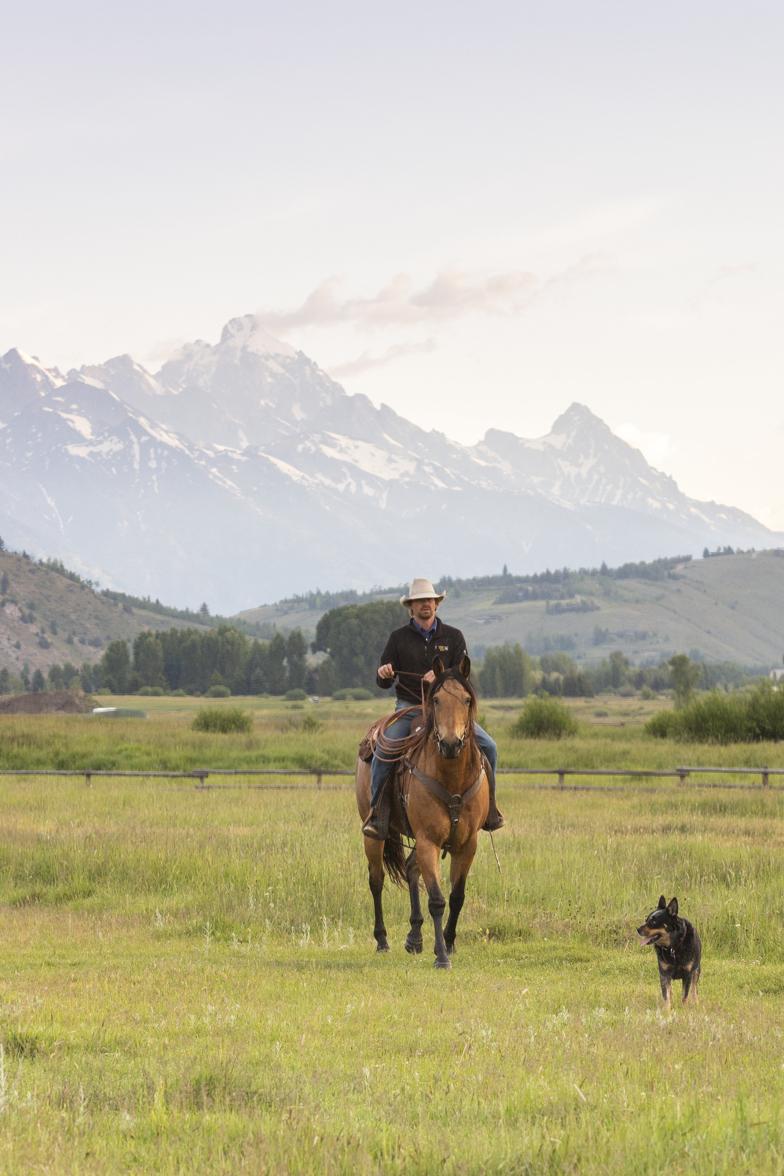 A Wyoming Cowboy