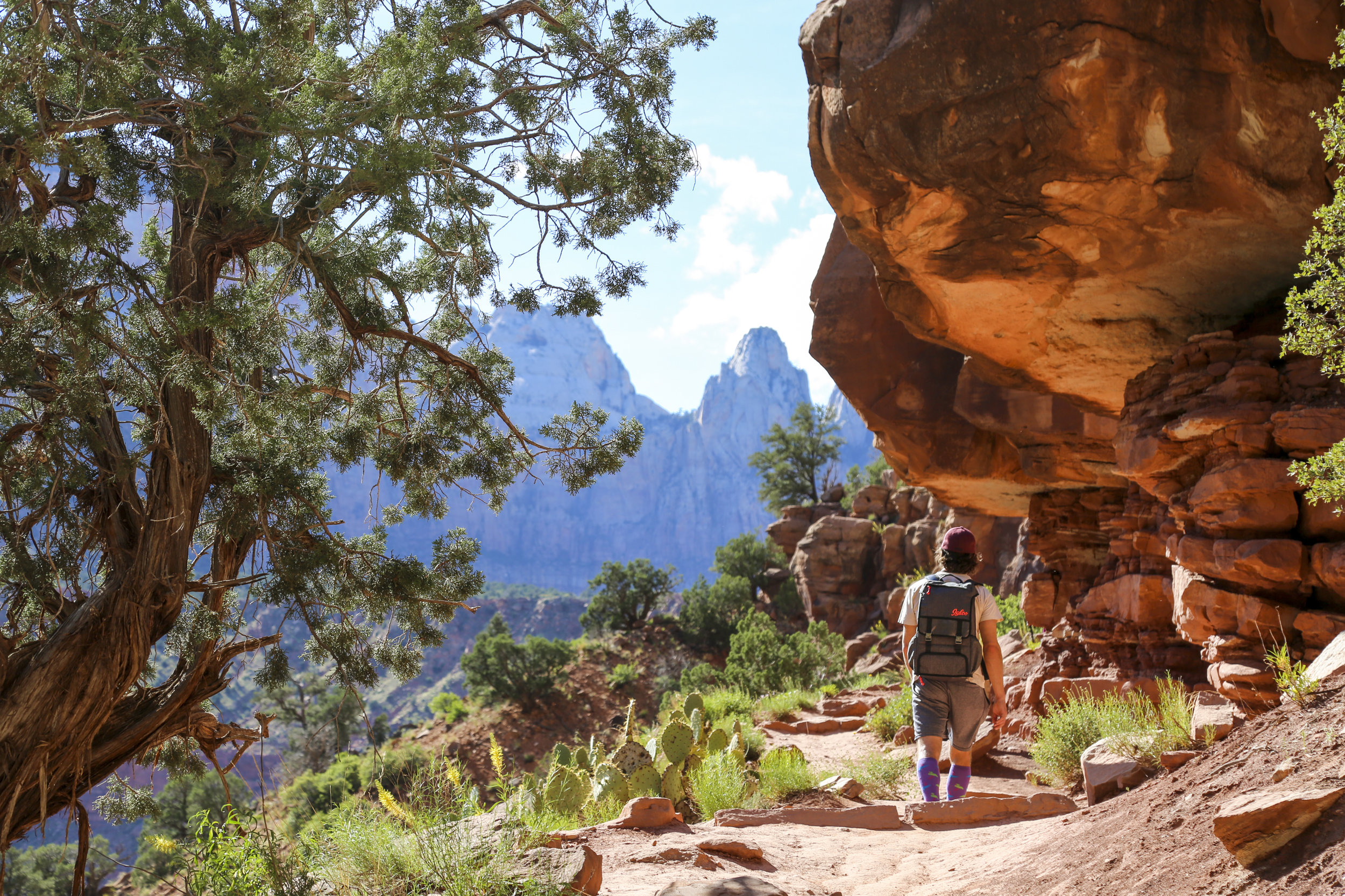 zion-10.jpg