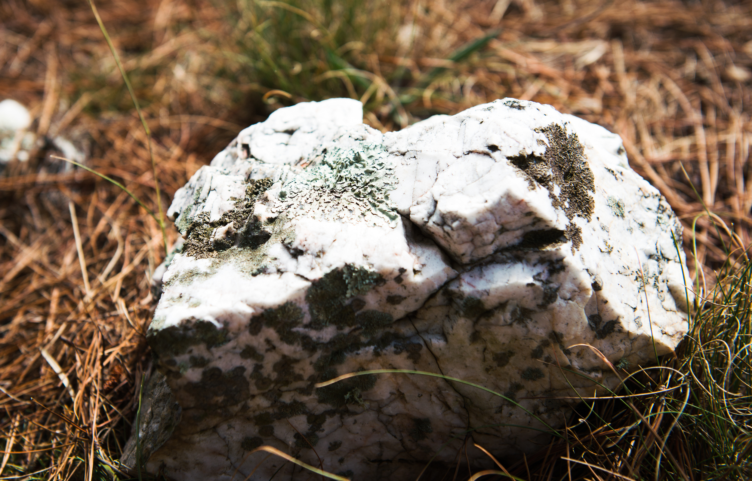 Lark Hill Vineyard; Quartz