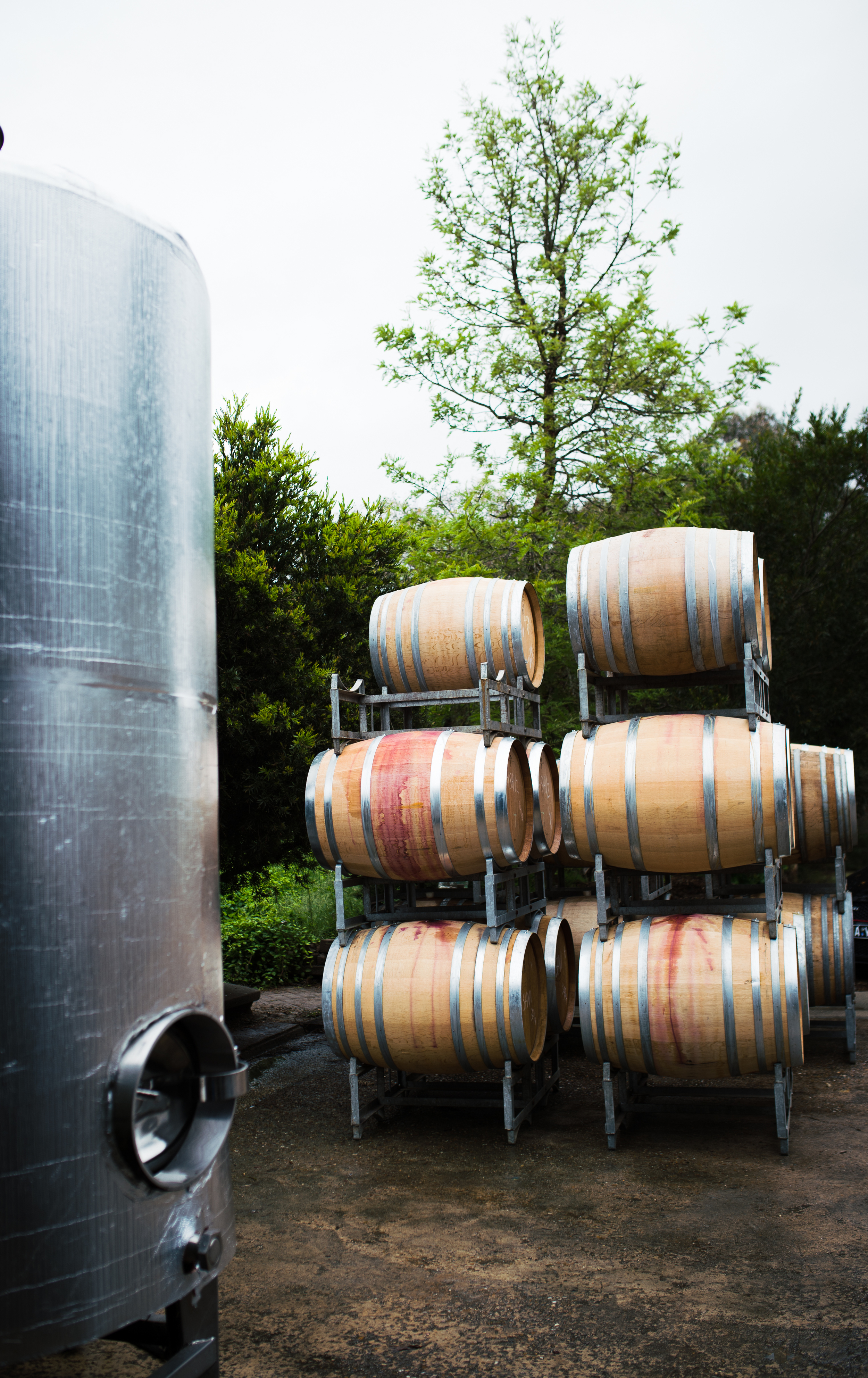 Lark Hill Winery; Barrels