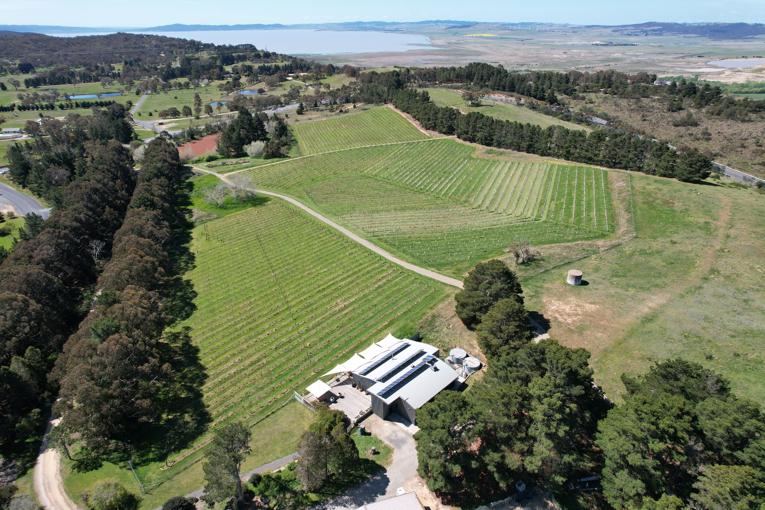 Lark Hill Vineyard (aerial)