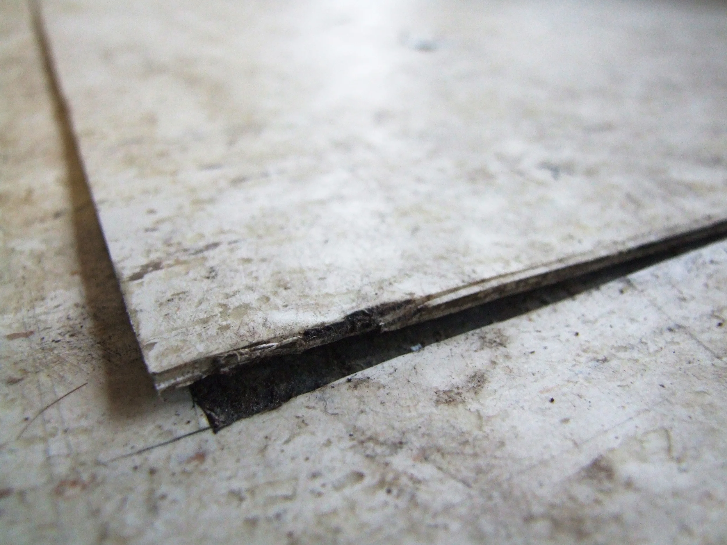 Urban Bodies, Morphic Assemblies_floor1.jpg