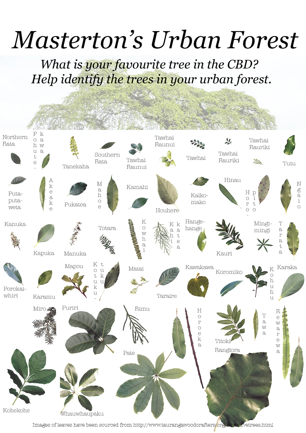 Mastertons Urban Forest for print.jpg