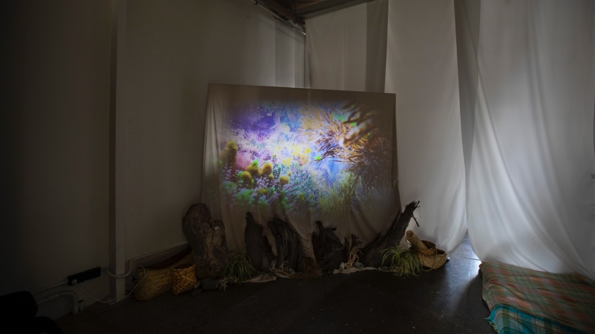 Māwhero_Photography_Taranaki_St.png