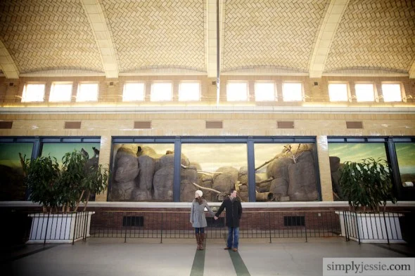 Lincoln Park Zoo Engagement Photography