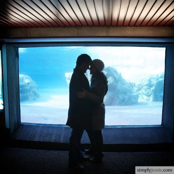Lincoln Park Zoo Engagement session