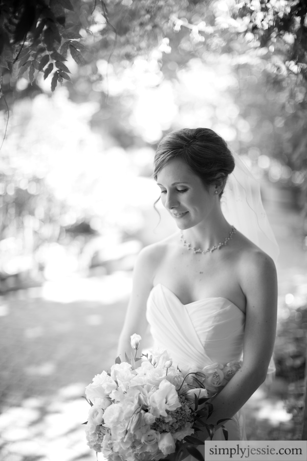 Bride Portrait in Morton Arboretum