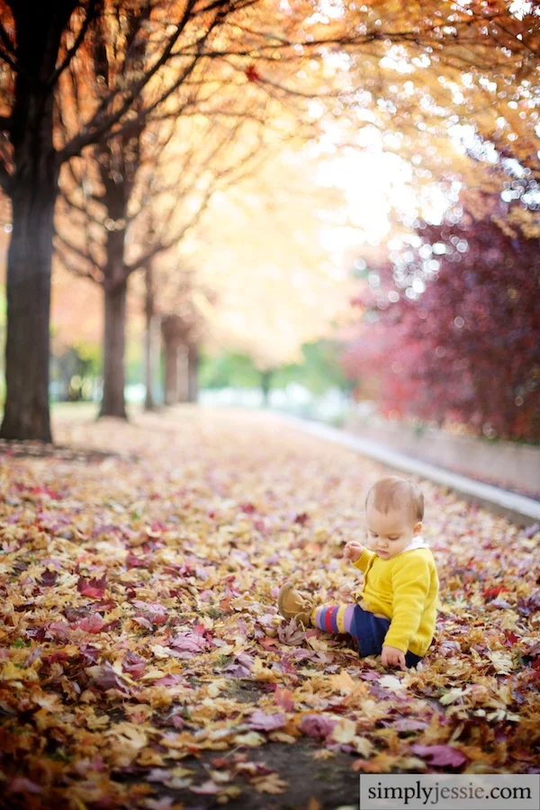 Baby Fall Photography
