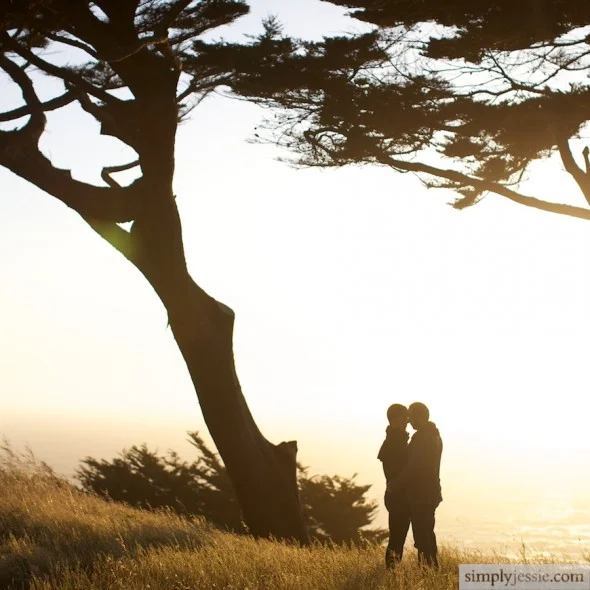 Cypress trees, ocean and engaged couple