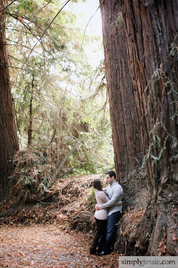Redwood Forest Engagement photography