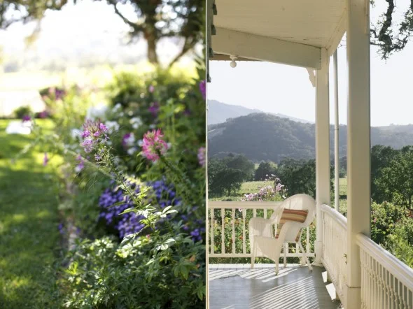 Wine Country Wedding Photographer