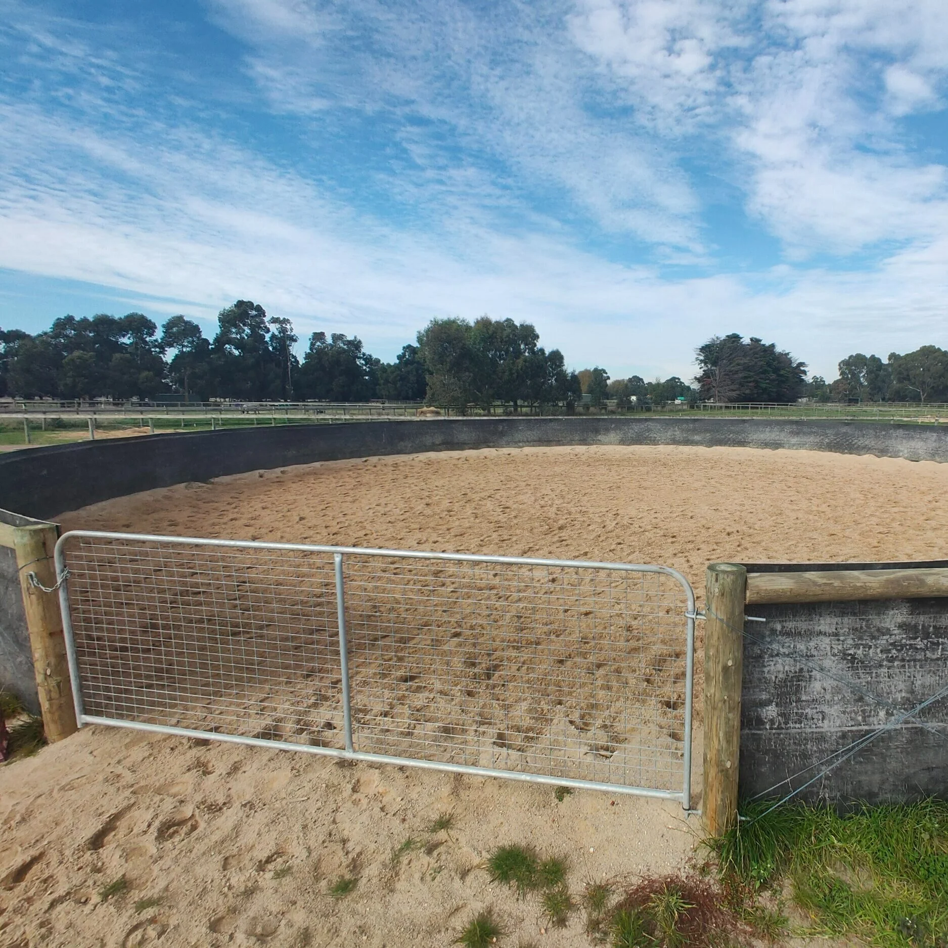 Dressage &amp; LungingTwo grass arenas and four round lunging yards.