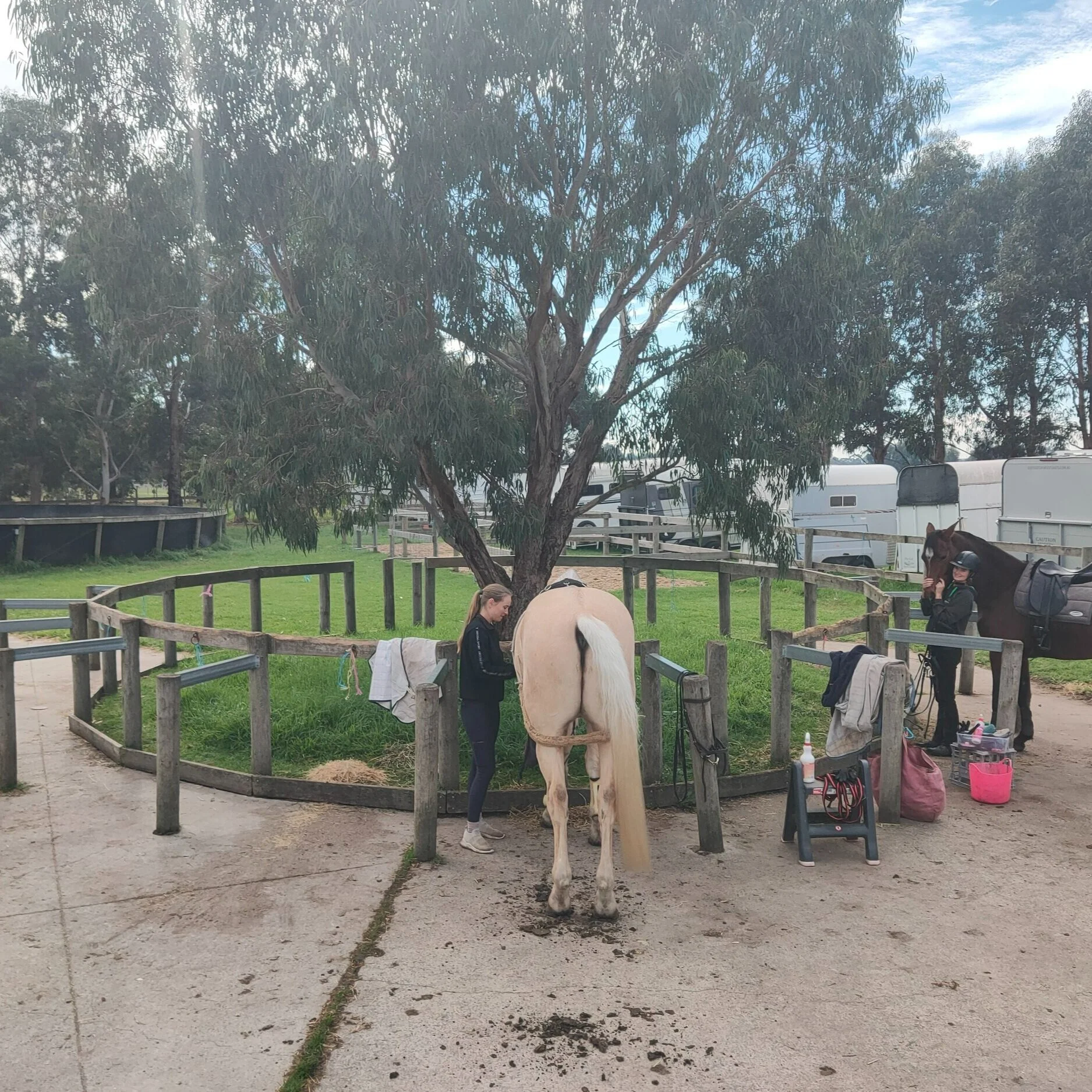 Tie Up YardsOne of five tie up yards, including round and undercover areas.