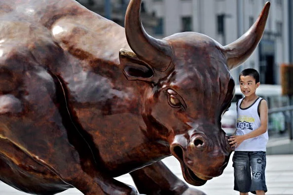 5. _bull.jpg