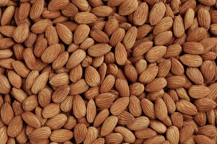 almond-kernels[1].jpg