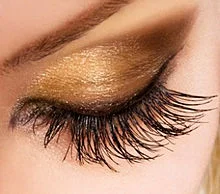 lashes.jpg