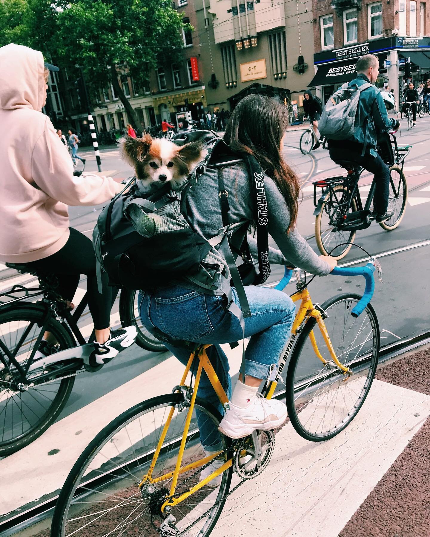 🚲 🐶

.

.

.

.

.

.

#amsterdam #netherlands #dutchdesign #dutch #cycle #structure #bike #bikesofinstagram #black #bikes #dogs #colors #pastels #dogsofinstagram #travel #architecture #dam #stack #minimal #minimalist #monochrome #mono #vsco #vscoc