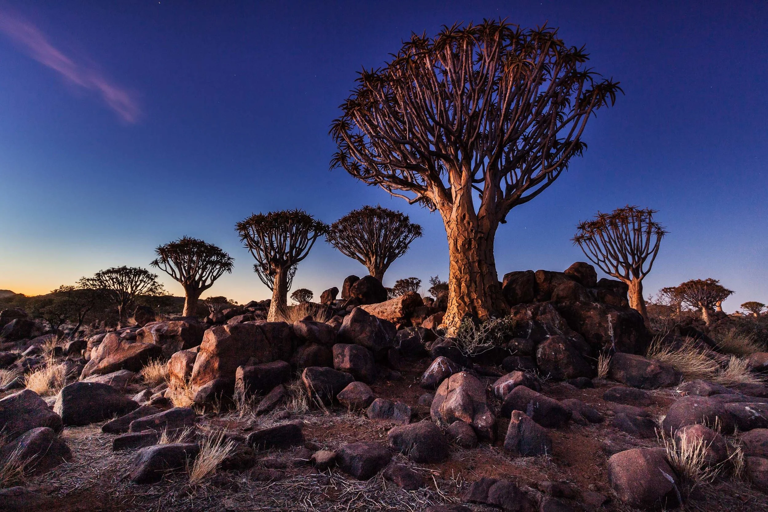 24_Namibia_Ethnologies.jpg