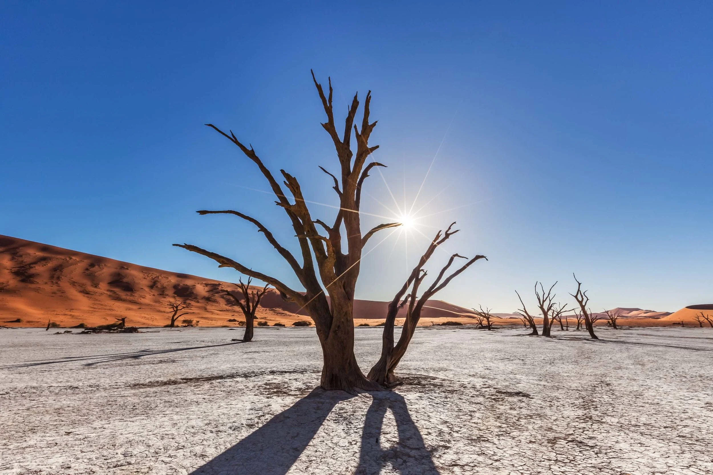 25_Namibia_Ethnologies.jpg