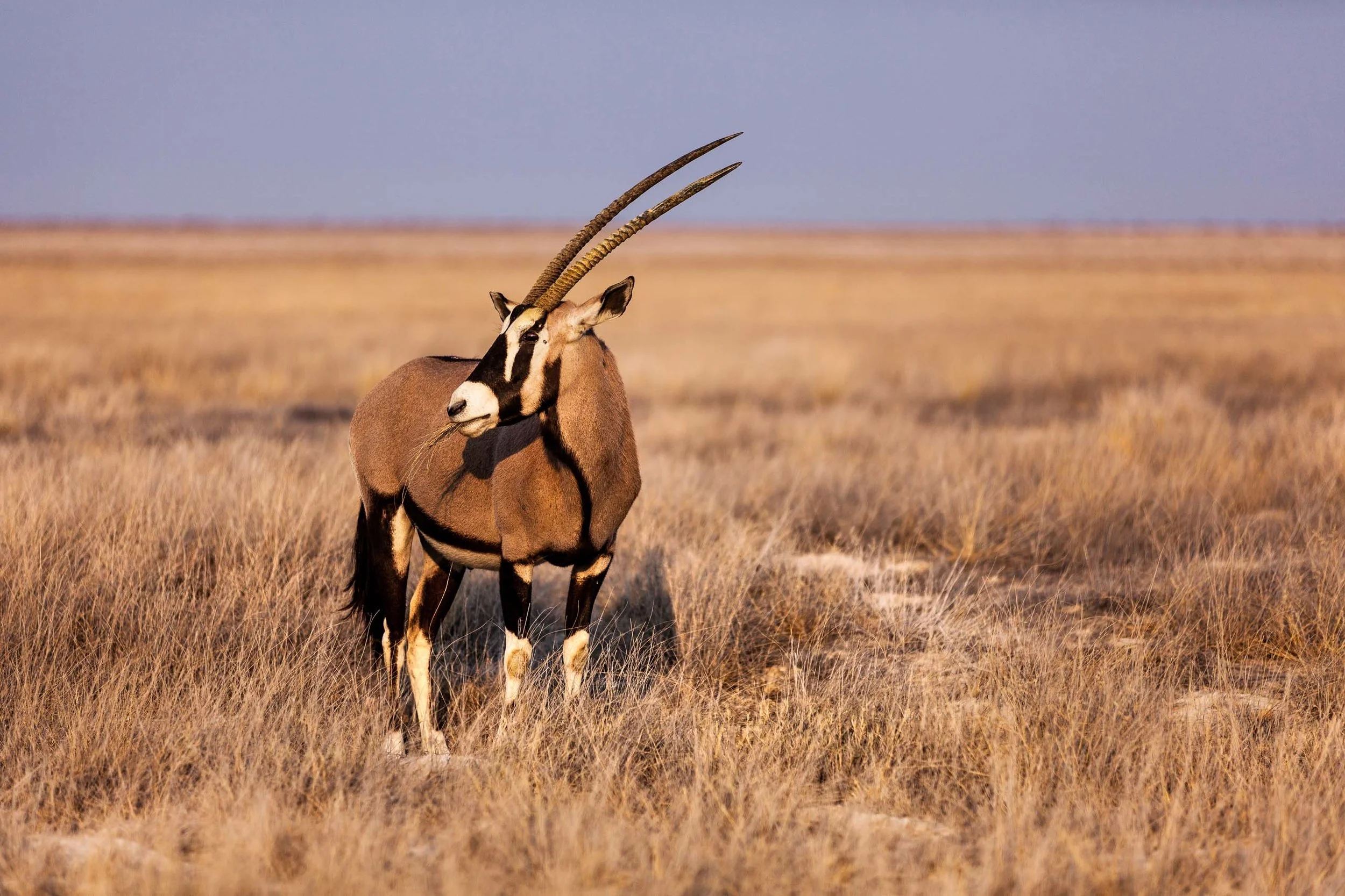 36_Namibia_Ethnologies.jpg