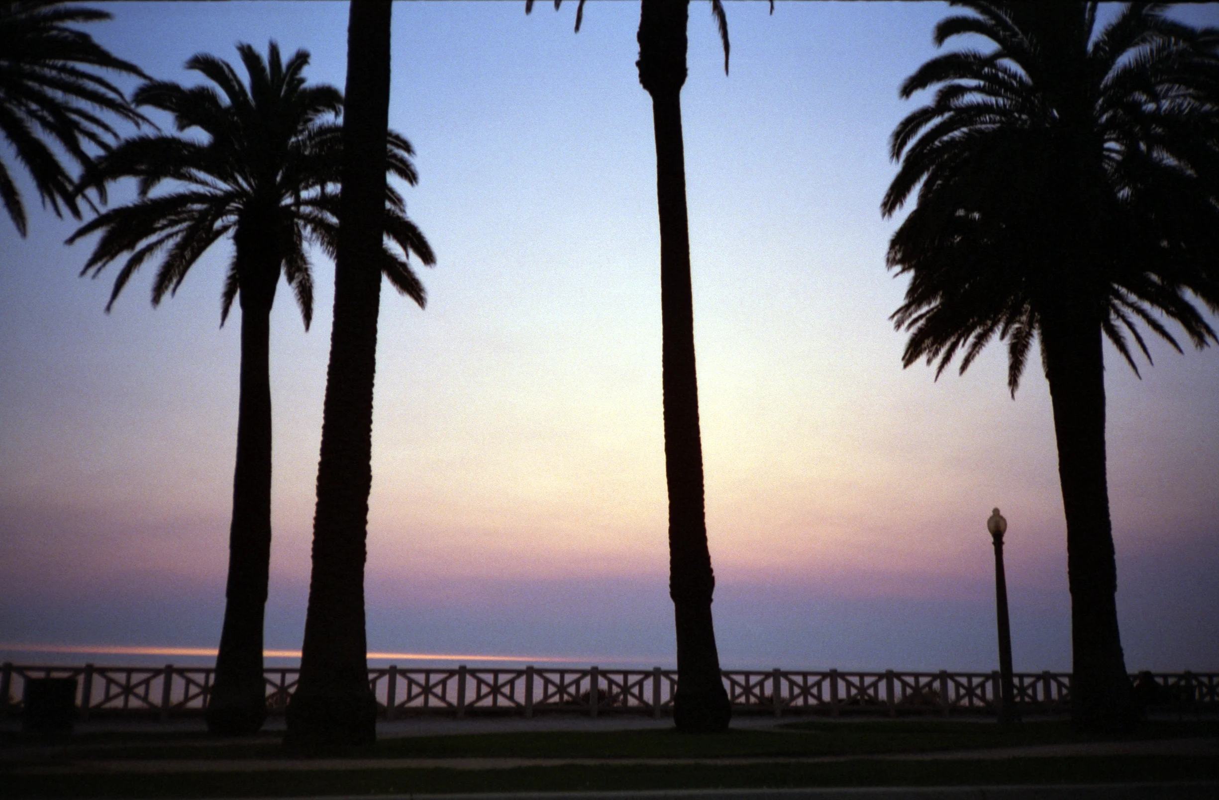 Ocean Ave.