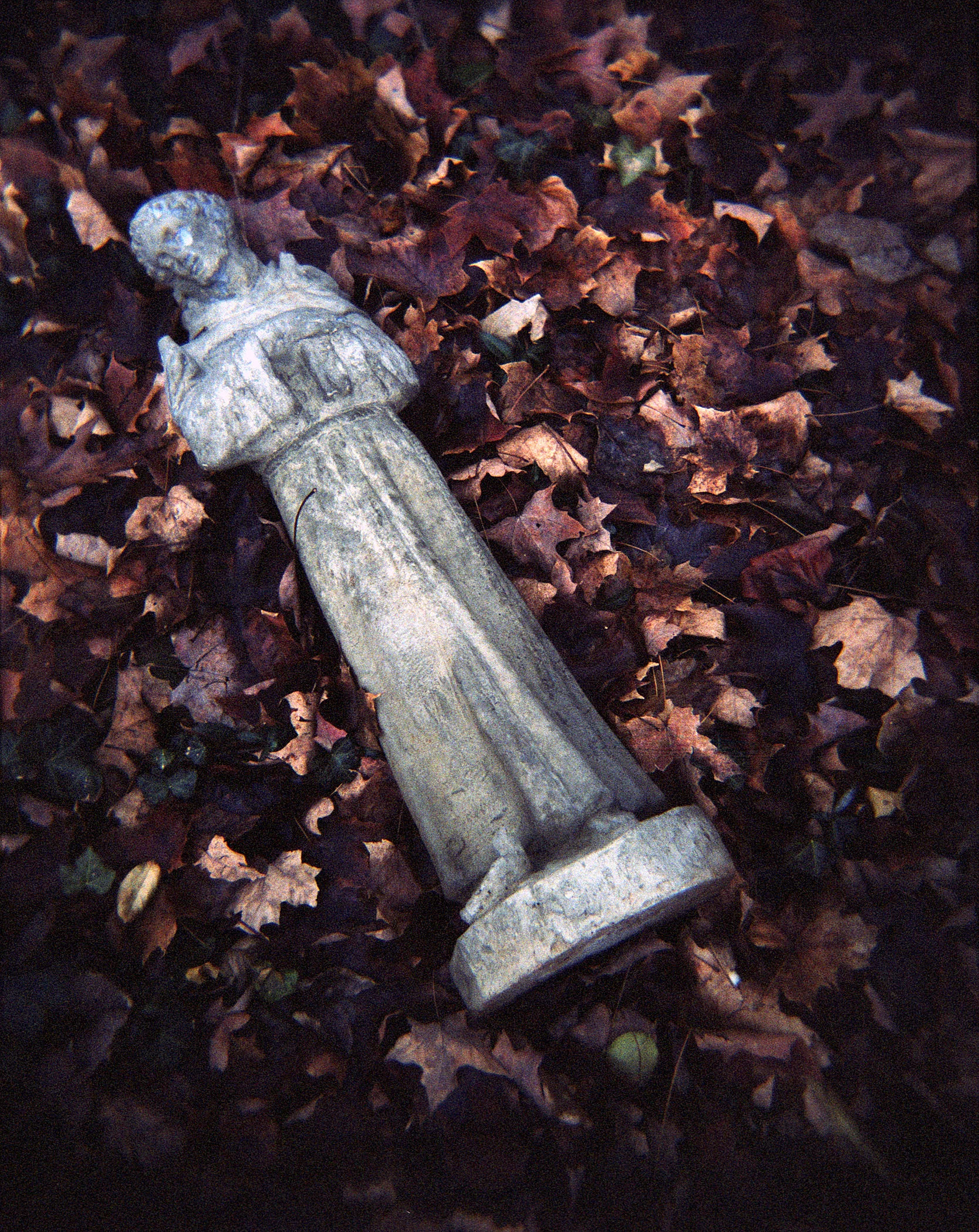 Epson_2005_11958_Holga_Kodak400VC_50.jpg
