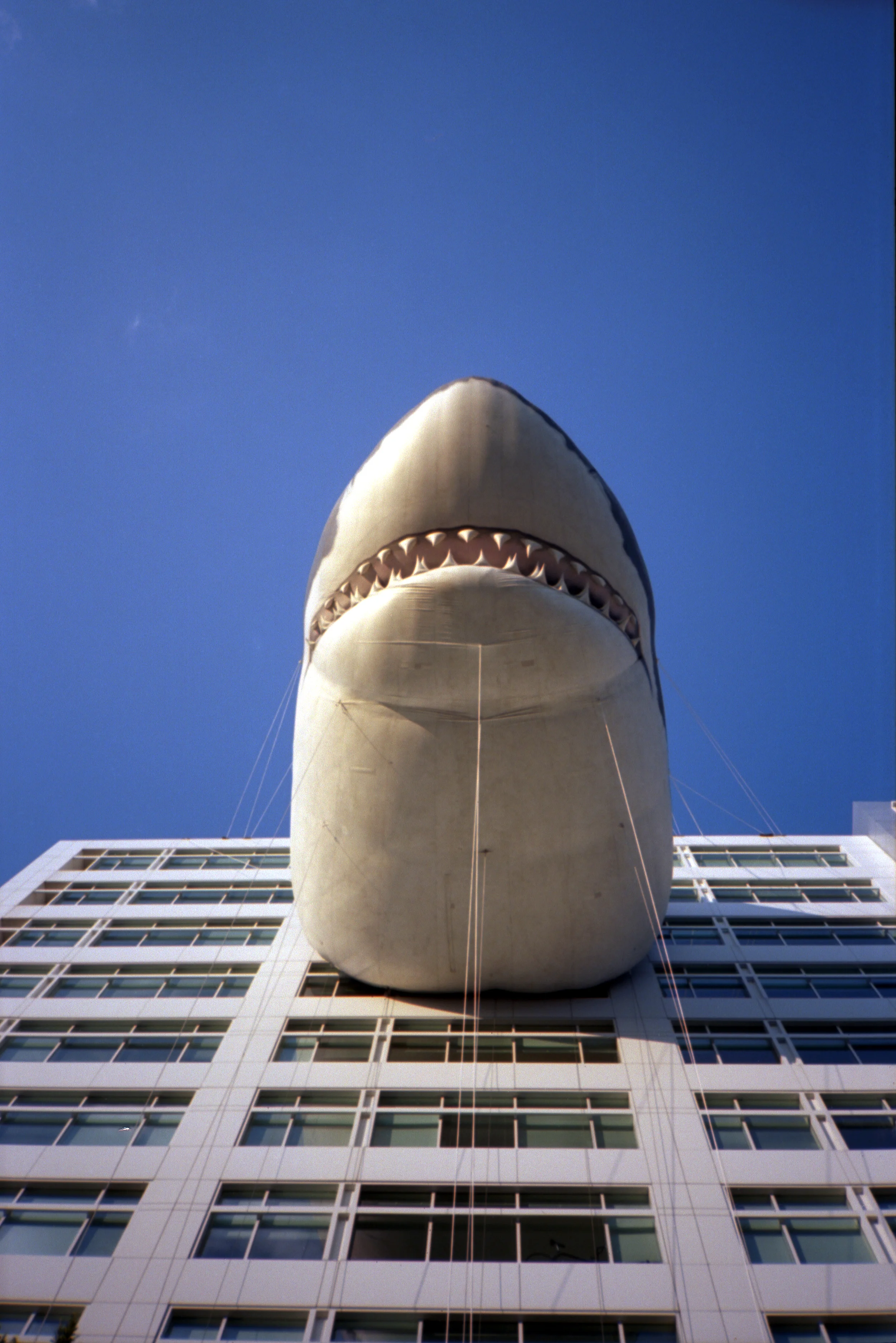 Chompy