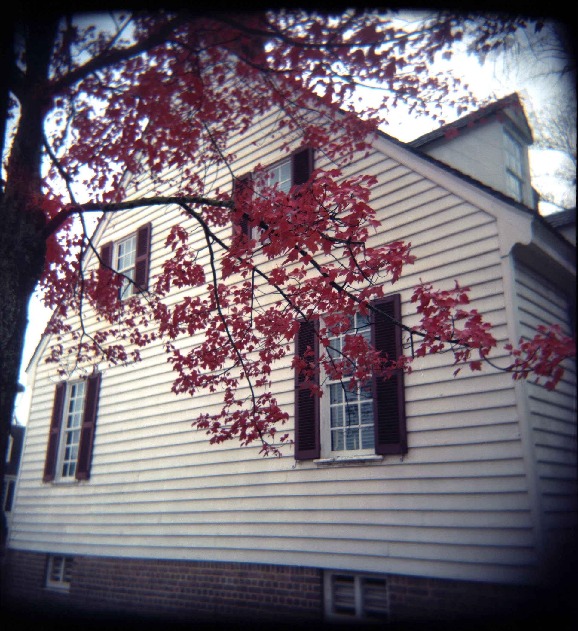 Epson_11252011_2709_Holga_Portra160_41.jpg