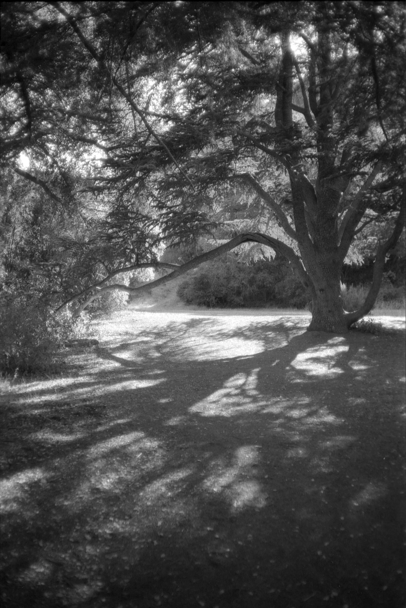 Malibu Creek #1