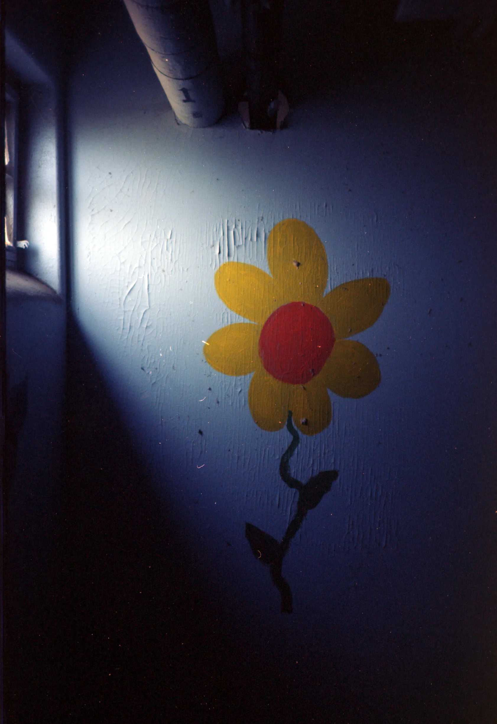 Epson_06122012_5552_OlyXA_Ektar_14A.jpg