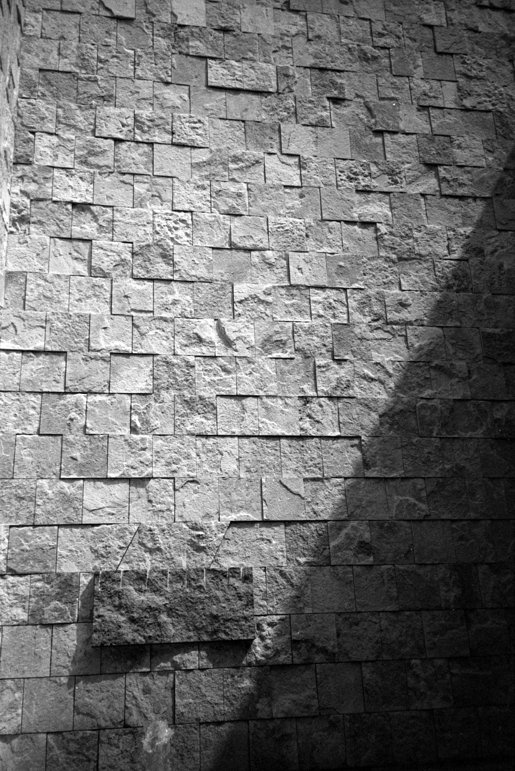 Epson_23-OlyXA2-Ilford_21.jpg