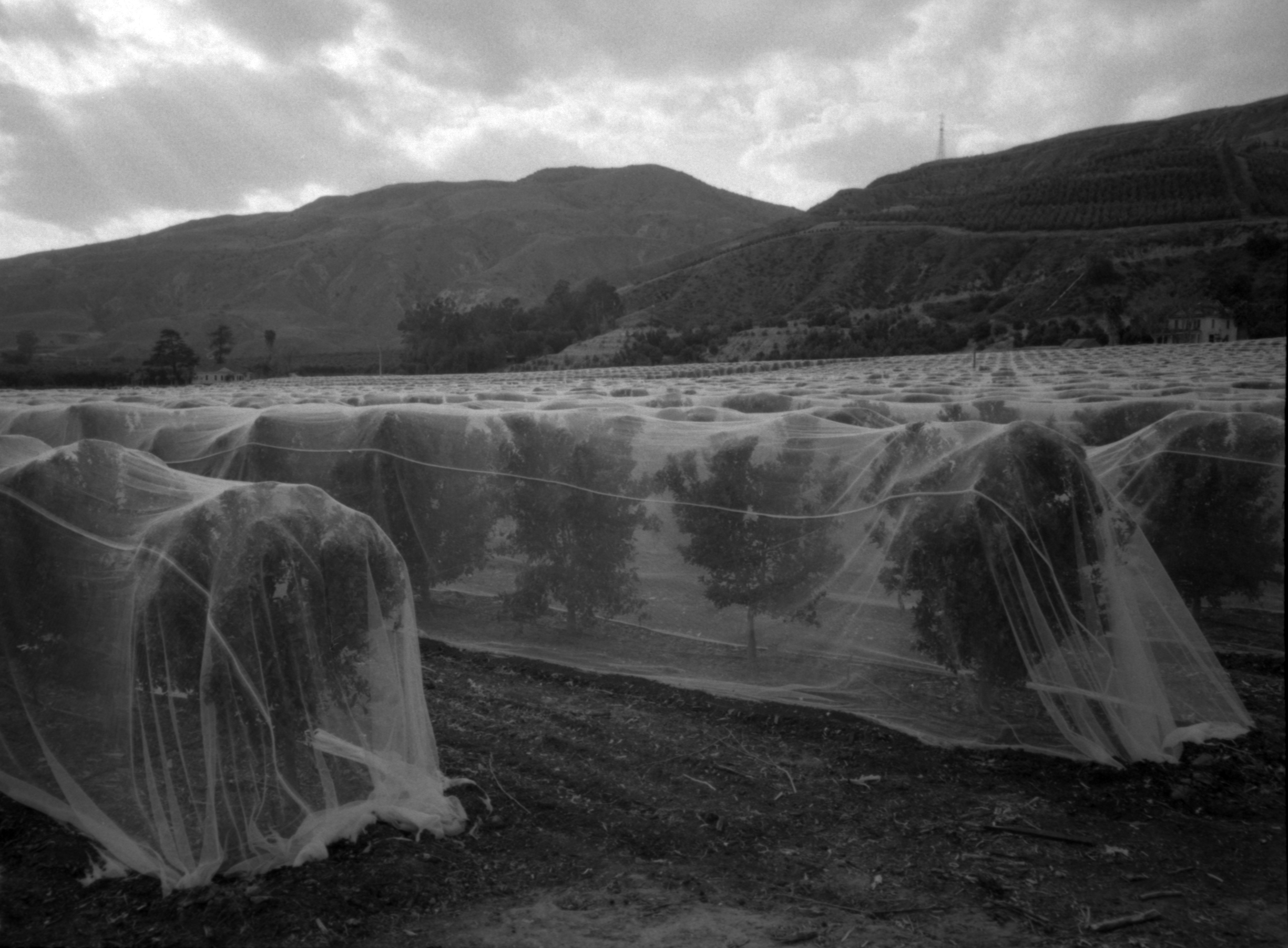 Epson_24OlyXA2Neopan400_X.jpg
