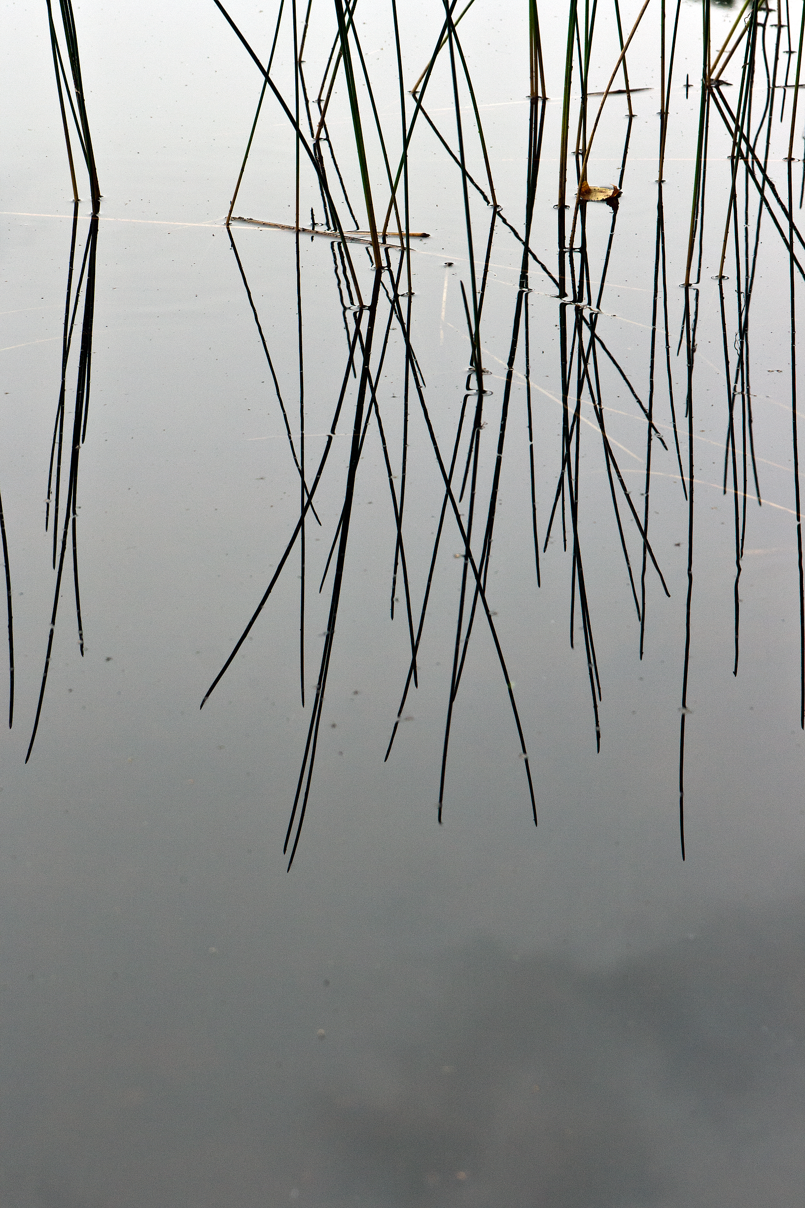 Lake McKinney