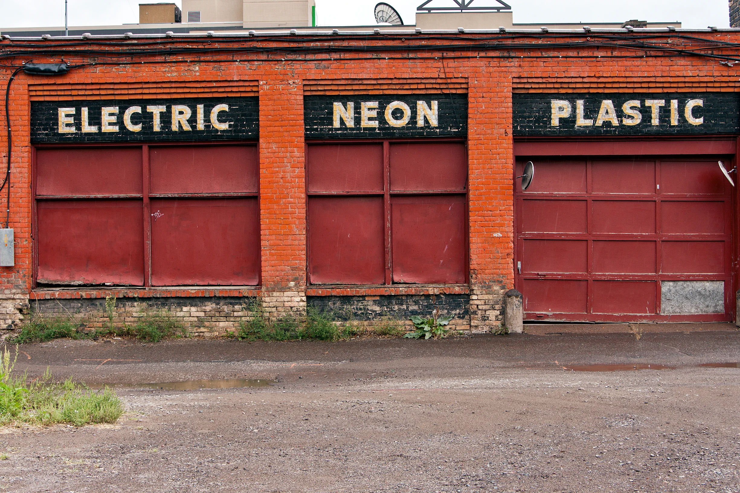 Electric - Neon - Plastic