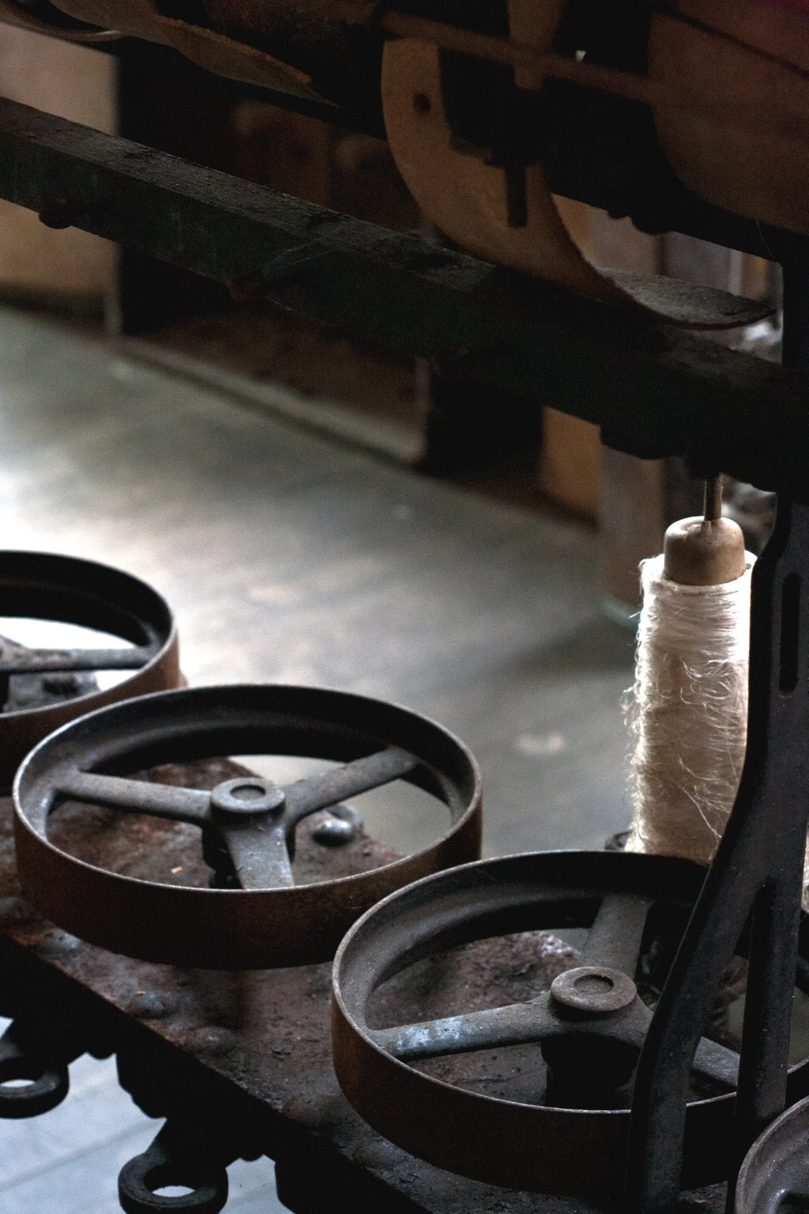 IMG_0031.jpg